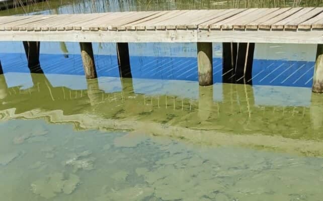 Comisión de medioambiente del Senado sesionará en Vichuquén por aguda crisis de contaminación del lago