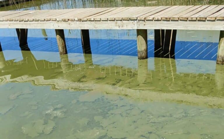 Comisión de medioambiente del Senado sesionará en Vichuquén por aguda crisis de contaminación del lago