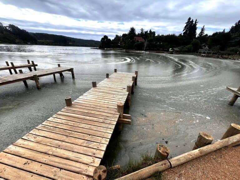 Diputado Guzmán por contaminación en el Lago Vichuquén: “Solicitamos al Presidente que se decrete emergencia sanitaria”