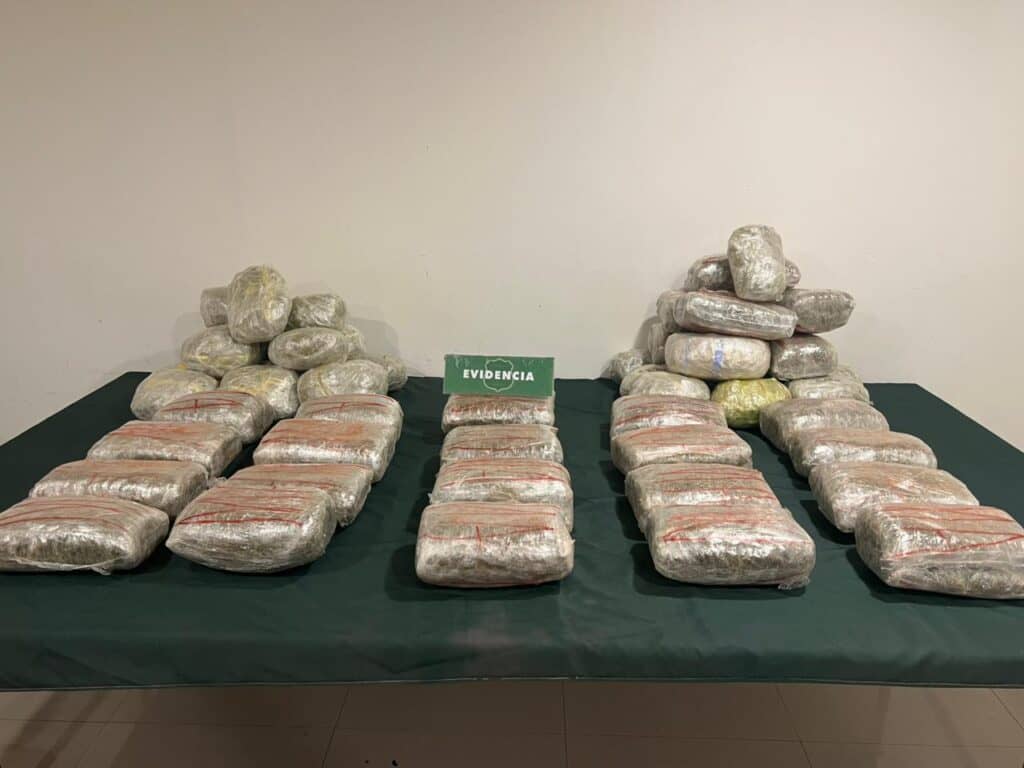 Carabineros incautó más de 40 kilos de marihuana elaborada en Curicó
