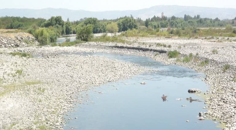 Alerta en la costa: Alcalde de Licantén advierte grave crisis agrícola por histórica baja en el caudal del río Mataquito