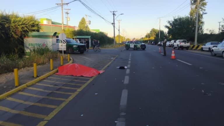 Tragedia en Los Niches: Adulto mayor fallece tras colisión con minibús de temporeros en la Ruta J-65