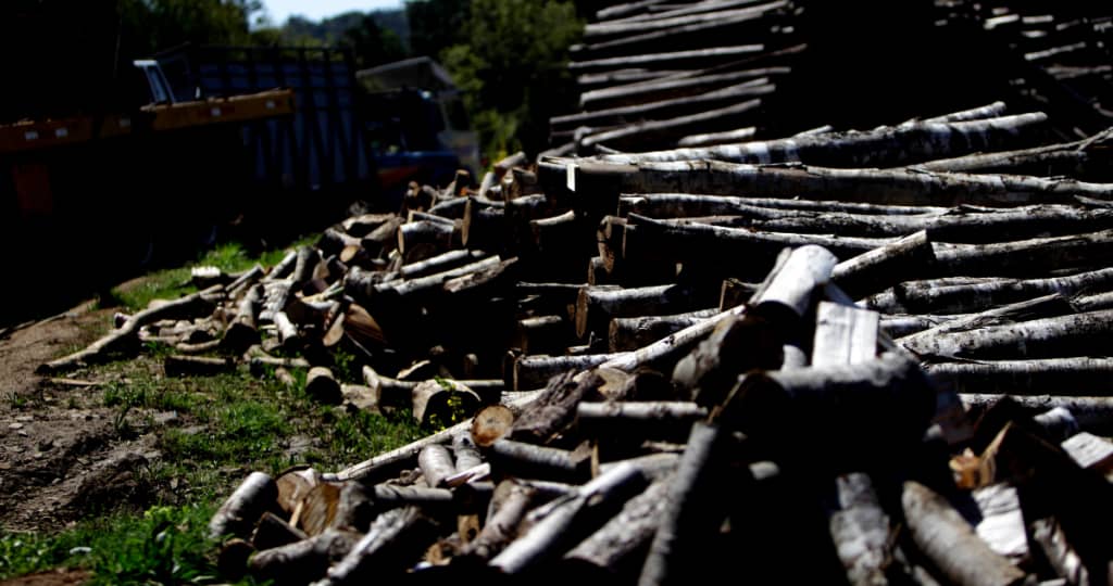 Cinco sujetos detenidos por robo de madera en predio forestal de Hualañé
