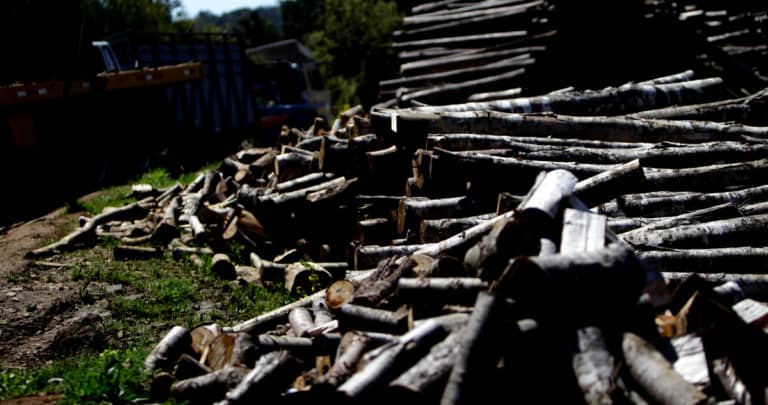 Cinco sujetos detenidos por robo de madera en predio forestal de Hualañé