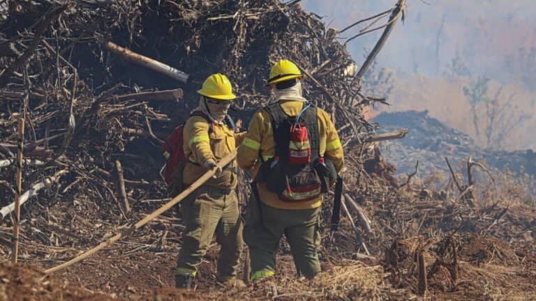 Balance de incendios en Curicó: 94 siniestros y 270 hectáreas afectadas en lo que va de temporada