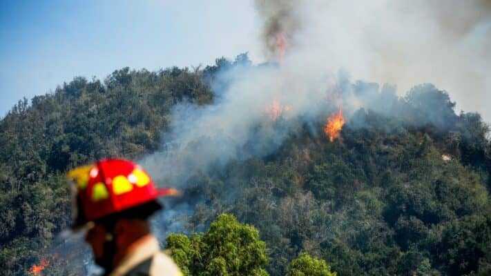 Intenso despliegue aéreo y terrestre evita tragedia en Curepto: Fuego amenazó viviendas en sector Rincón de Calpún