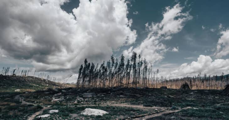 Definen hoja de ruta contra incendios en el Maule: Municipios reciben planes técnicos y confirman prohibición total de quemas