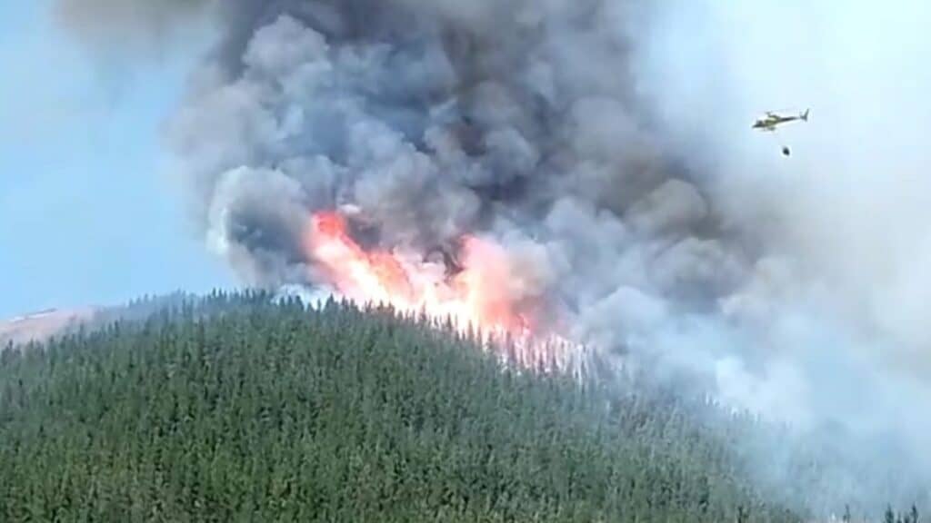 Senapred ordena evacuación en Retiro, Maule, por incendio forestal