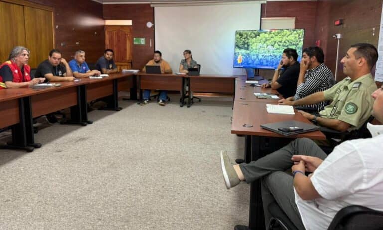 Mano dura en Rauco: Municipio sancionará a dueños de predios que no realicen cortafuegos