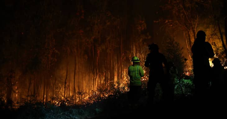 Treinta incendios forestales activos se combaten en cinco regiones del país