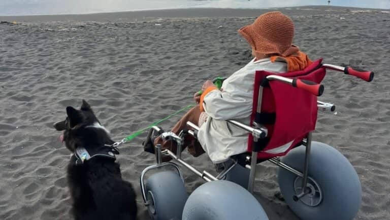 Licantén rompe barreras: Iloca se transforma en la primera playa inclusiva del Maule con sillas anfibias