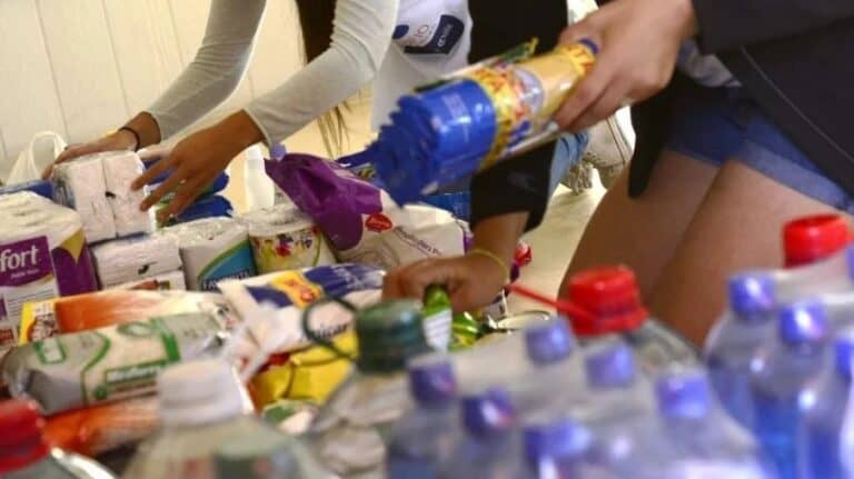 Veterinaria de Curicó abre sus puertas las 24 horas del día para recibir ayuda por incendios forestales