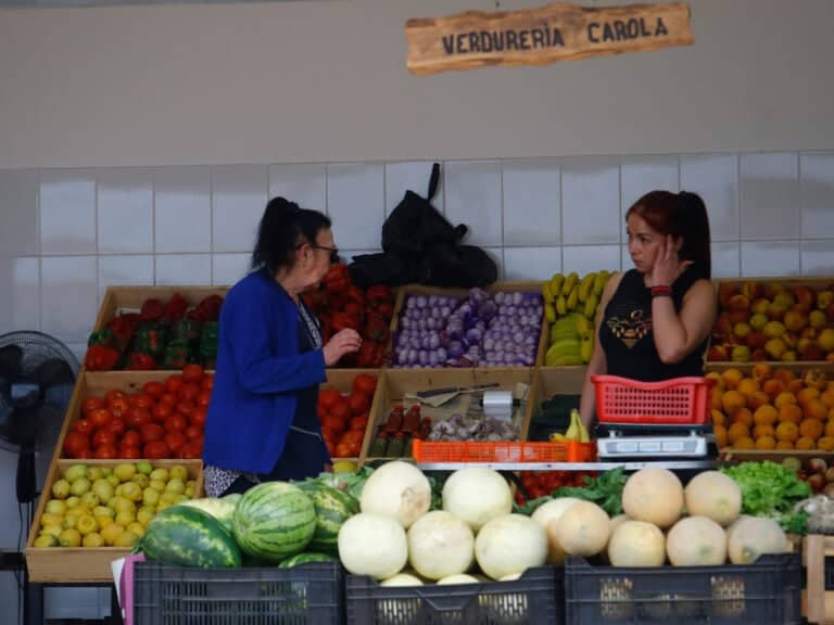 Inauguran nuevas instalaciones de la tradicional feria ubicada en el sector Diego Portales de Curicó
