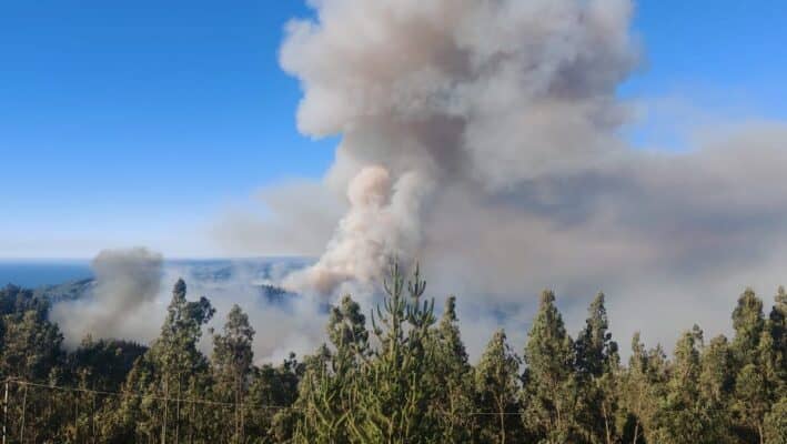Incendio en Vichuquén se mantiene en combate con 380 hectáreas afectadas: Bomberos de Maule y O'Higgins protegen viviendas