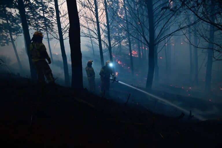 Cuatro incendios forestales activos: Alertas rojas se mantienen en Linares y Vichuquén