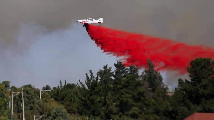 Detienen a pareja por iniciar incendio forestal en Teno tras realizar un asado