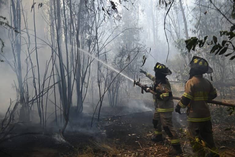"Condición poco habitual": Caída de rayos origina dos incendios forestales en la provincia de Linares