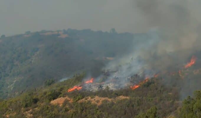 Evacuación en Teno: Incendio forestal avanza y amenaza sectores poblados