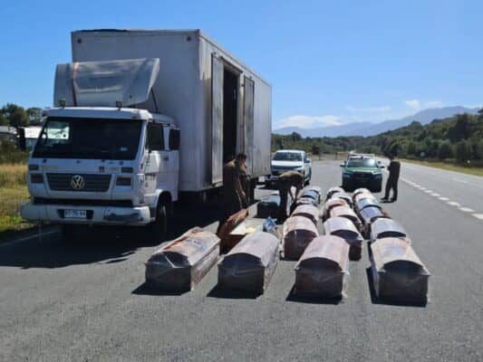Hallan más de 4 kilos de marihuana oculta en ataúdes en la Carretera Austral