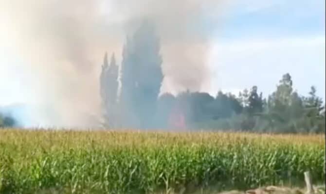 Incendio de pastizales amenazó tendido eléctrico y movilizó a bomberos en sector La Fortuna de Sagrada Familia