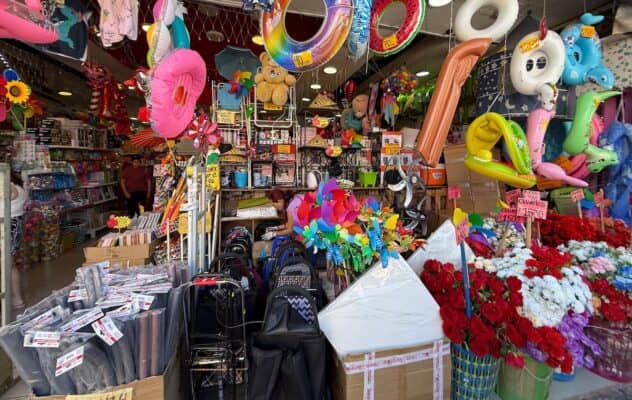 Municipio transparenta catastro oficial: 23 "malls chinos" operan con patente vigente en Curicó