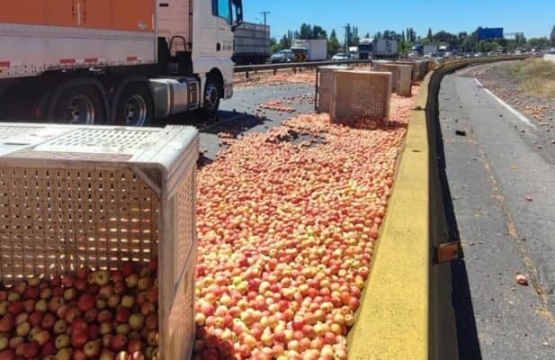 Camión pierde carga de manzanas y genera congestión en la Ruta 5 Sur