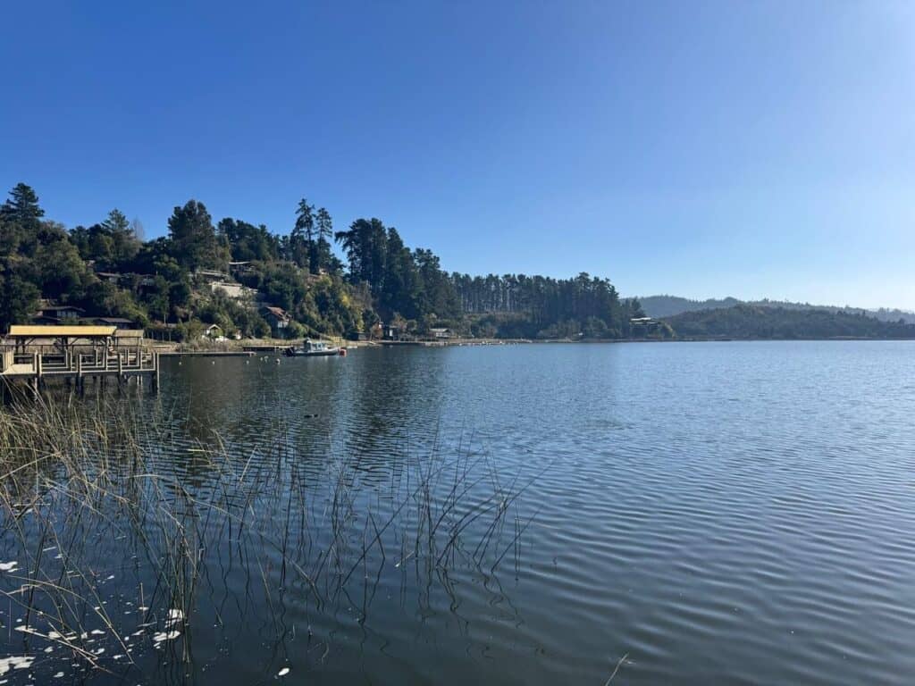 Gobierno inicia plan para descontaminar el Lago Vichuquén