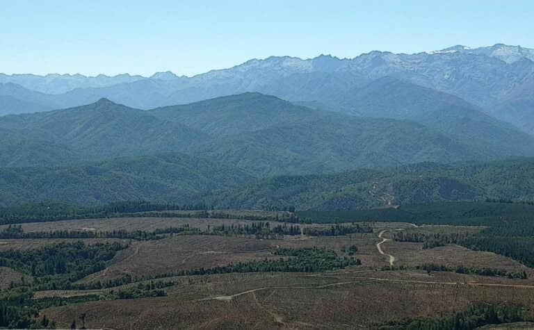 Conaf declara "contenido" el incendio forestal en Cajón de Pejerrey tras consumir más de mil hectáreas en Linares