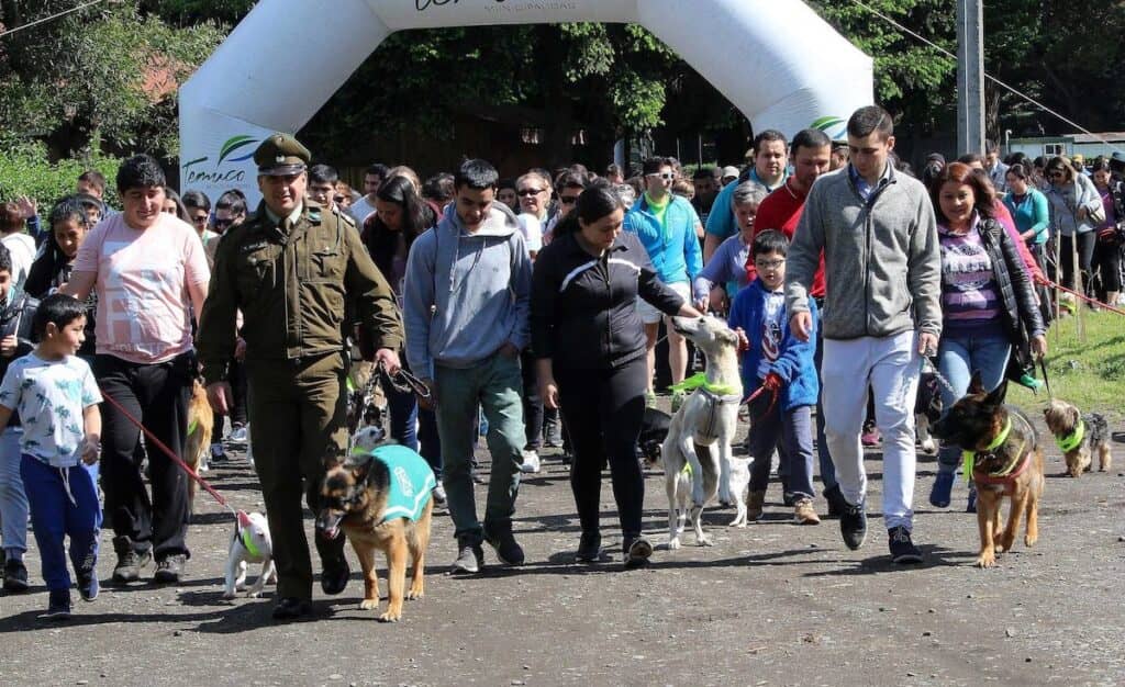 Carabineros reprograma caminata canina familiar en Curicó en beneficio de la Fundación Paticorta