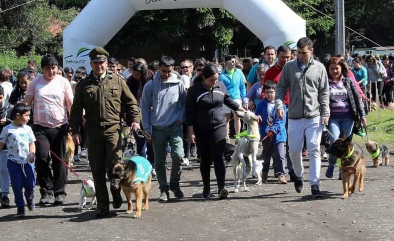 Carabineros reprograma caminata canina familiar en Curicó en beneficio de la Fundación Paticorta