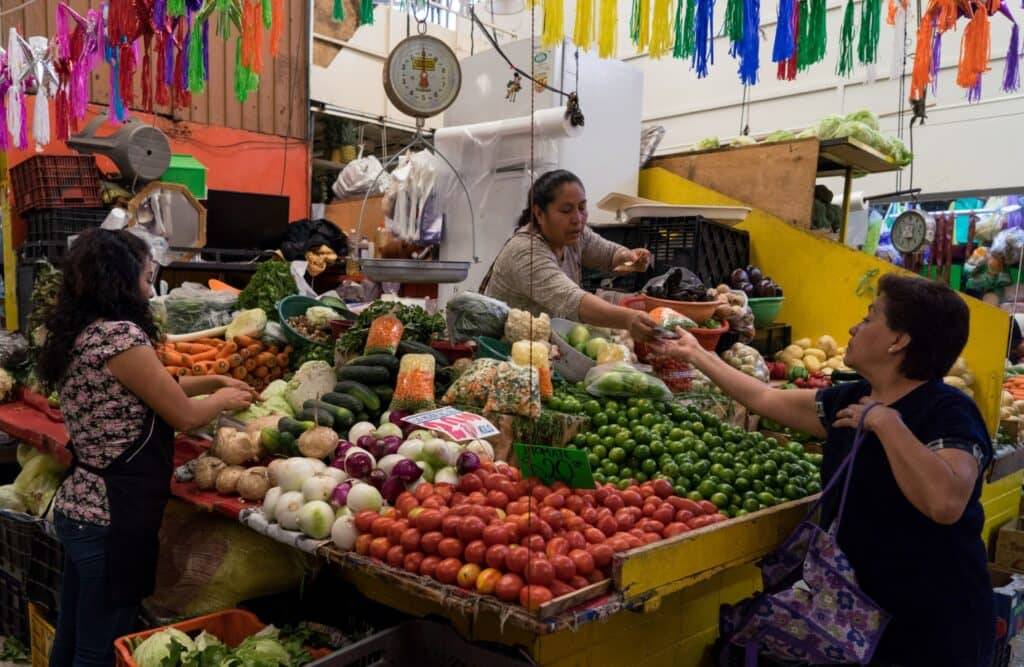 Seremi de Agricultura advierte posible alza en el precio de hortalizas tras sistema frontal en el Maule