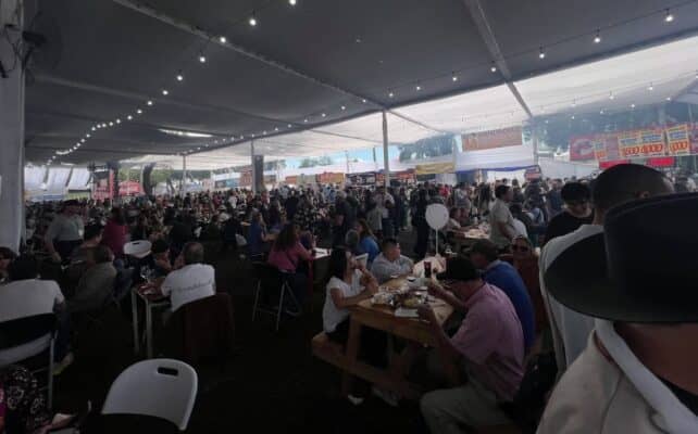 Confirman programación del escenario folclórico para este lunes en la Fiesta de la Vendimia de Curicó