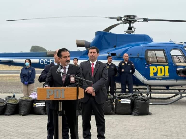 PDI cierra exitoso "Plan Cannabis 2026" en Curicó con incautación más de 111 mil plantas