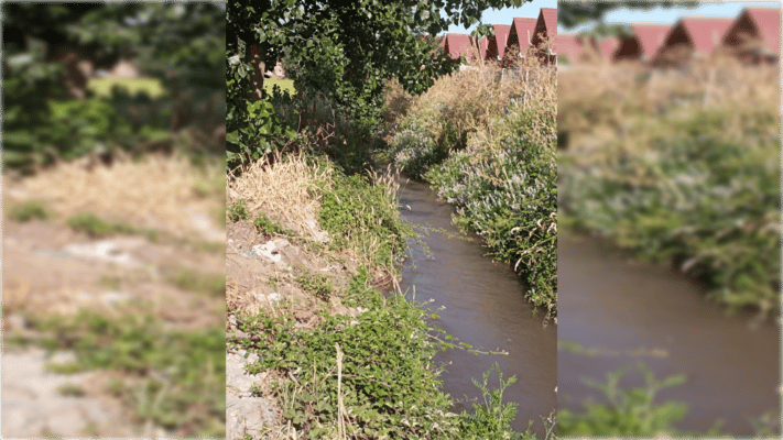 Vecinos continúan denunciando malos olores por contaminación en canal La Cañada