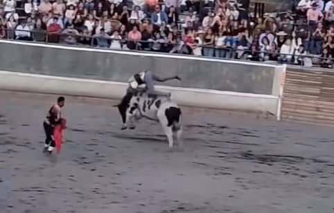Concejala oficia al municipio por evento de Jaripeo en Curicó: "Es un hecho de maltrato animal"