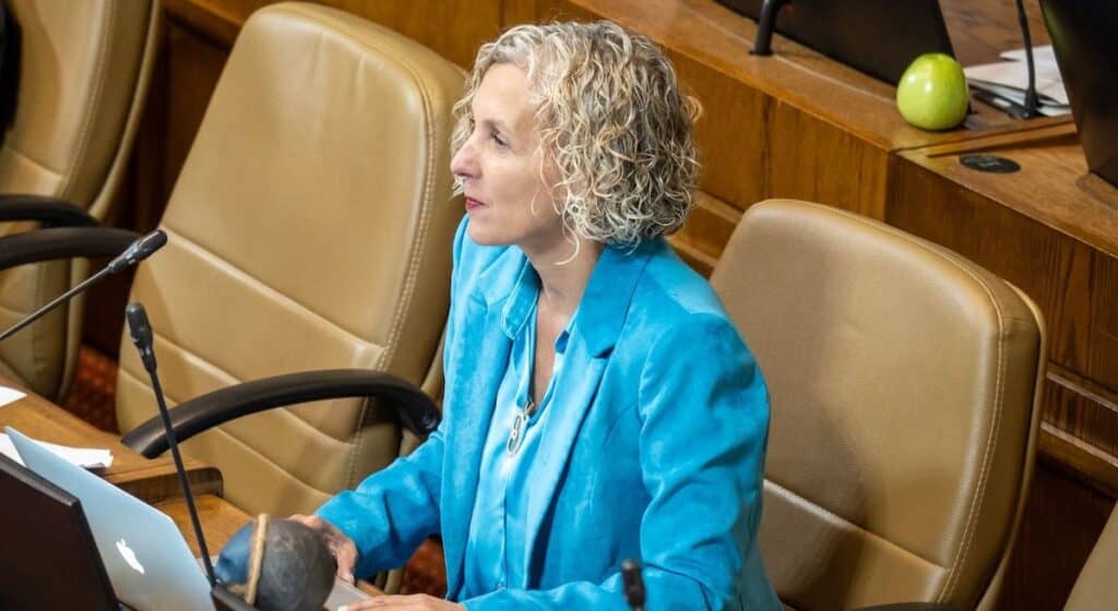 Diputada Castillo catalogó como "una pachotada" eventual uso de decretos por el Gobierno