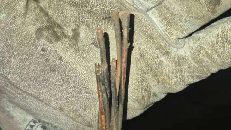 Investigan intervención de terceros: El cable cortado que dejó sin energía a seis comunas del Maule