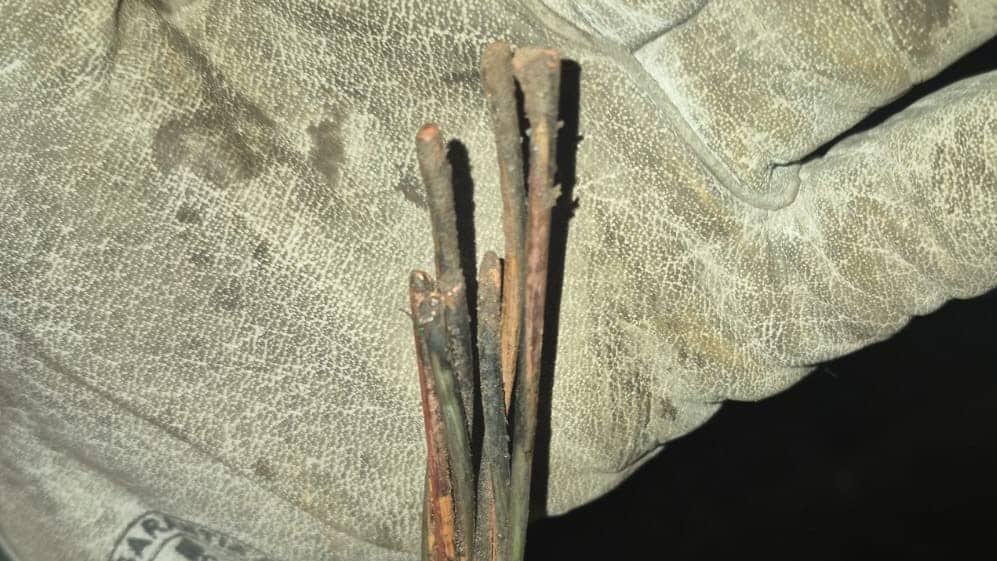 Investigan intervención de terceros: El cable cortado que dejó sin energía a seis comunas del Maule