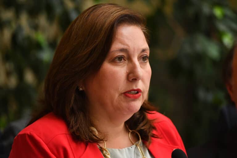 Senadora Vodanovic plantea reducir impuesto a empresas pero aumentar carga tributaria a sus dueños