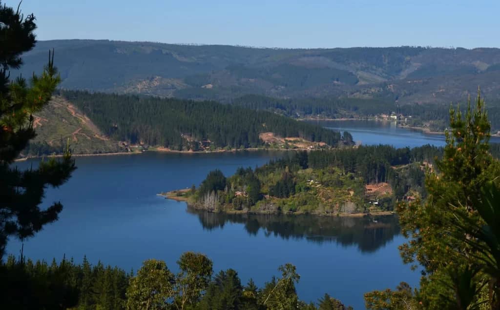 Estudio UAI revela baja impugnación de municipios a proyectos medioambientales: El Maule registra tres casos en la última década