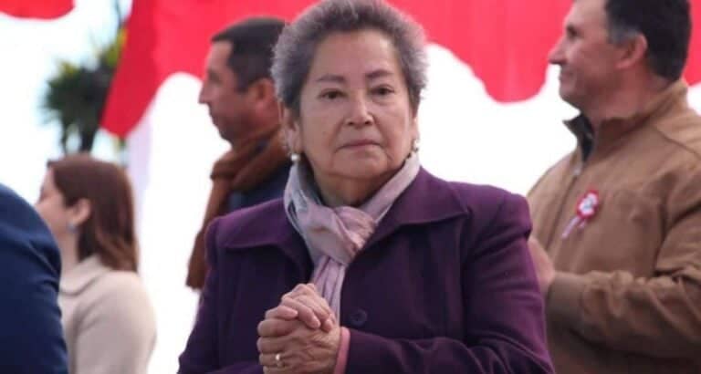 Fiscalía confirma hallazgo de patente del vehículo de la concejala desaparecida María Ignacia González