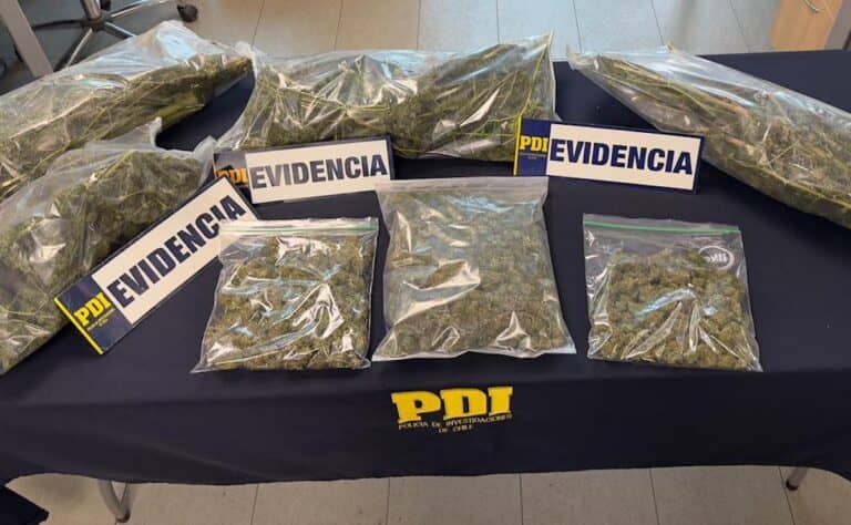 PDI desarticula punto de venta de drogas en Linares e incauta más de tres kilos de cannabis