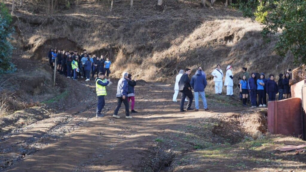 Autoridades destacan exitosa evacuación en simulacro escolar de sismo y tsunami en Licantén