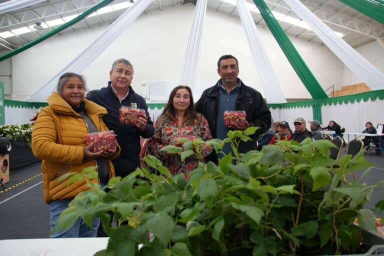 Municipio de Teno impulsa capacitación obligatoria sobre el correcto manejo de guano de ave para combatir malos olores