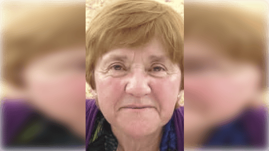 El legado de la exprofesora que perdió la vida en trágico atropello en Curicó