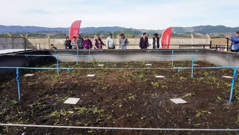 Millonaria inversión optimiza planta de tratamiento y sistemas de agua potable rural en Licantén