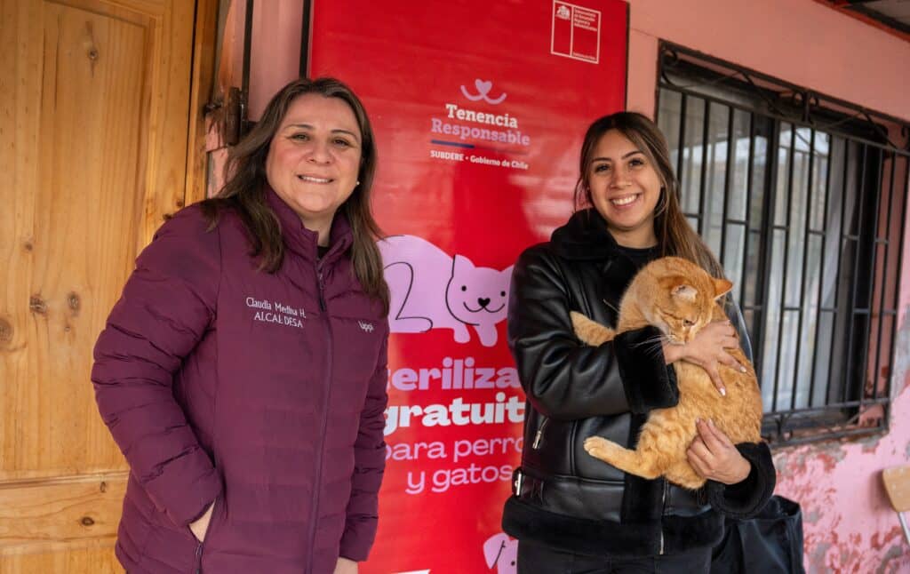 Rauco inicia masivo operativo de esterilización gratuita que beneficiará a 700 perros y gatos