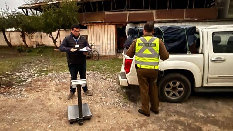 Incautan más de 750 kilos de merluza de origen ilegal durante control vehicular en La Huerta