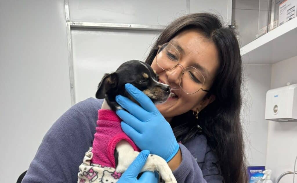 Clínica Veterinaria Móvil de Teno supera las 400 atenciones gratuitas durante su primer mes de funcionamiento