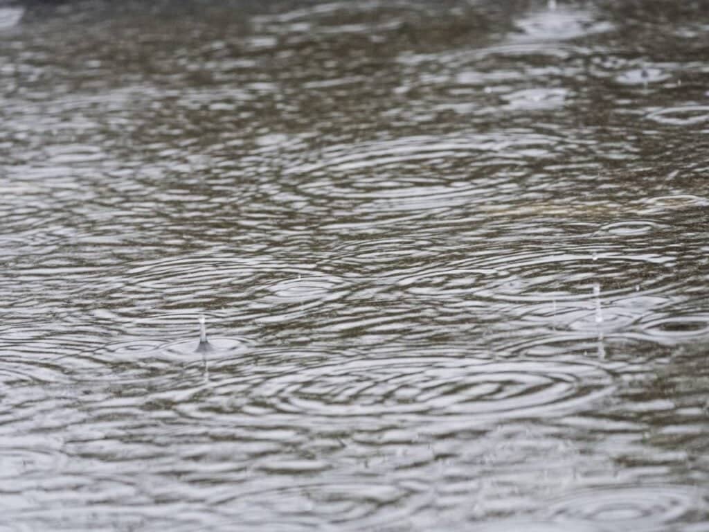 Canales del sector Sarmiento en Curicó presentan desbordes por precipitaciones